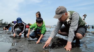 【潮干狩り】アサリ大漁のコツ！名人が教える8つのテクニック