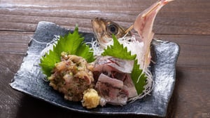 アジの旬はサイズごとに変わる？旨いアジの狙い方は？専門家が教える食味の秘密