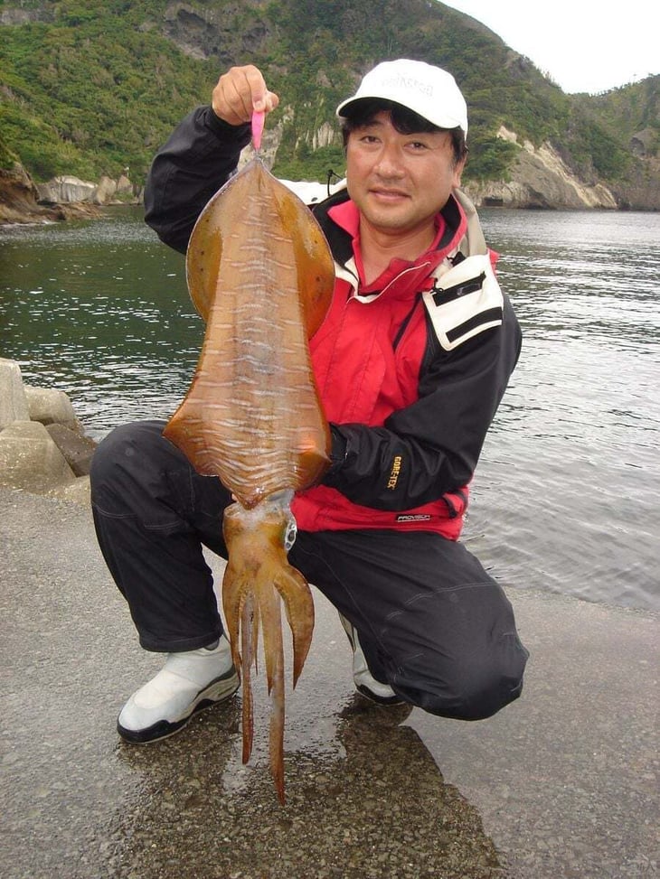 堤防で釣れた大型のアオリイカ