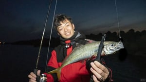 ホタルイカパターンのアジング攻略法！尺アジを捕るための条件と仕掛け