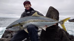 【ロックショアヒラマサ攻略】16.5kgをキャッチした名手のルアー選択とファイト術