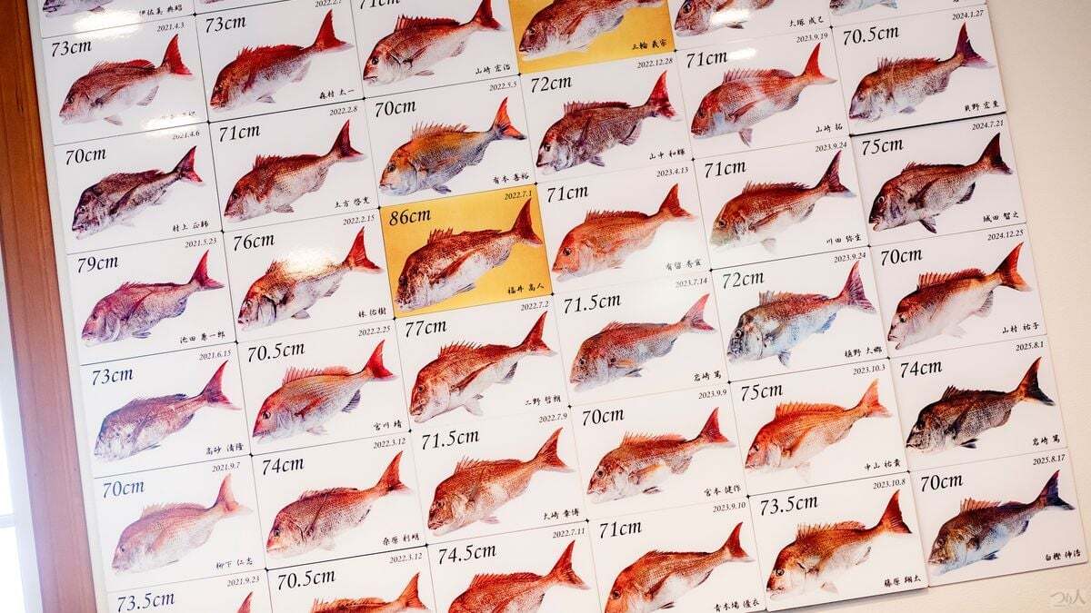 鉛ヘッドは大型に有効？タイラバ歴25年の船長が明かすヘッドの選び方