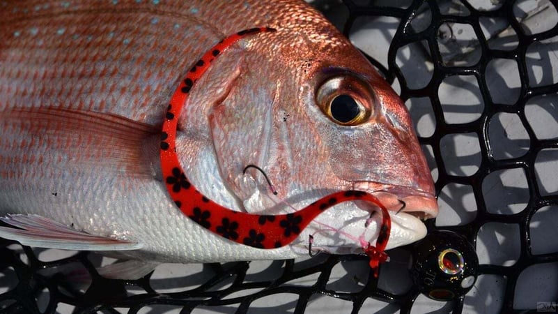 opt-content-tairaba-gamakatsu-hiroshima (6)