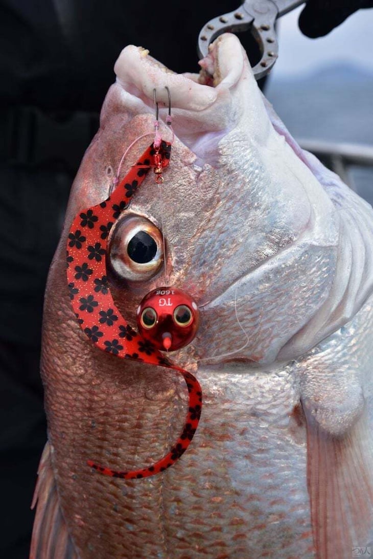 opt-content-tairaba-gamakatsu-hiroshima (8)