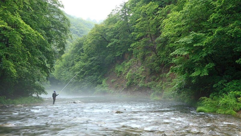 自然が子を育てる。開高健の残した一行と、笑顔で逝った編集長の最期が教えてくれること