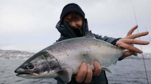 感度かナチュラルか。サクラマスジギングで釣果を分けるPEライン戦略