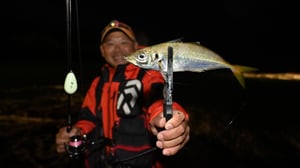 外房アジング攻略の極意はリグの使い分け？歴30年の第一人者が語るメソッドと歴史
