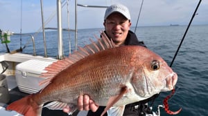 なぜタイラバで釣果に差が付くのか？正解を見極めるための名手の思考法