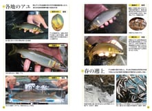 各地のアユ解説ページ