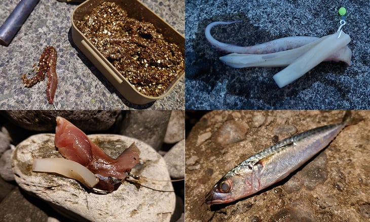 エサのバリエーション例