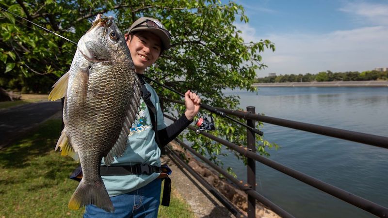 チニングロッドおすすめランキング16選｜シマノ、ダイワなど | 魚種別