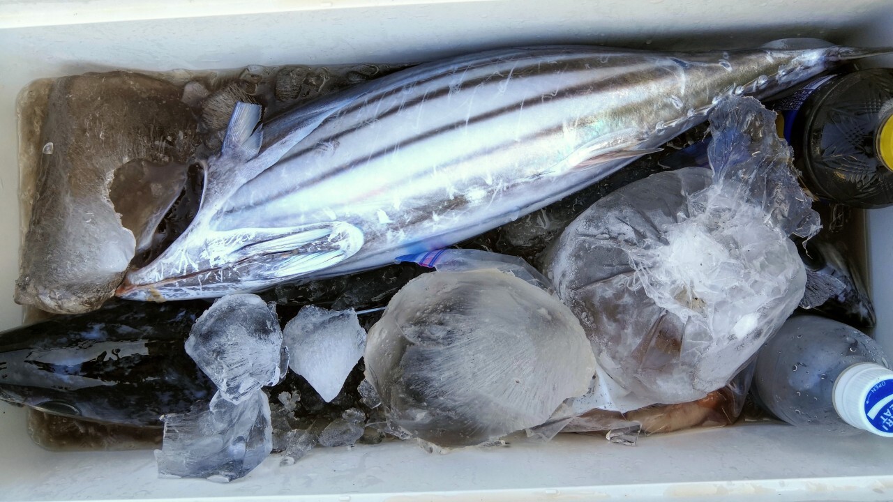 coolerbox