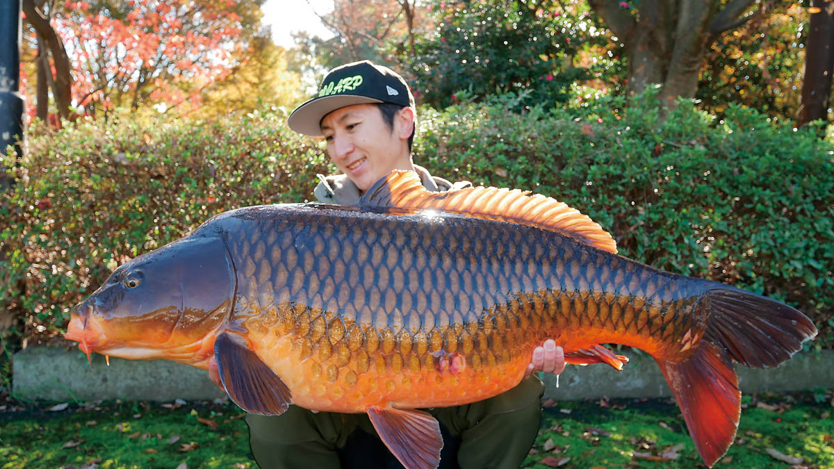 春からの鯉釣り入門 ダンゴとボイリーの釣りを解説！ 後編 | つり人