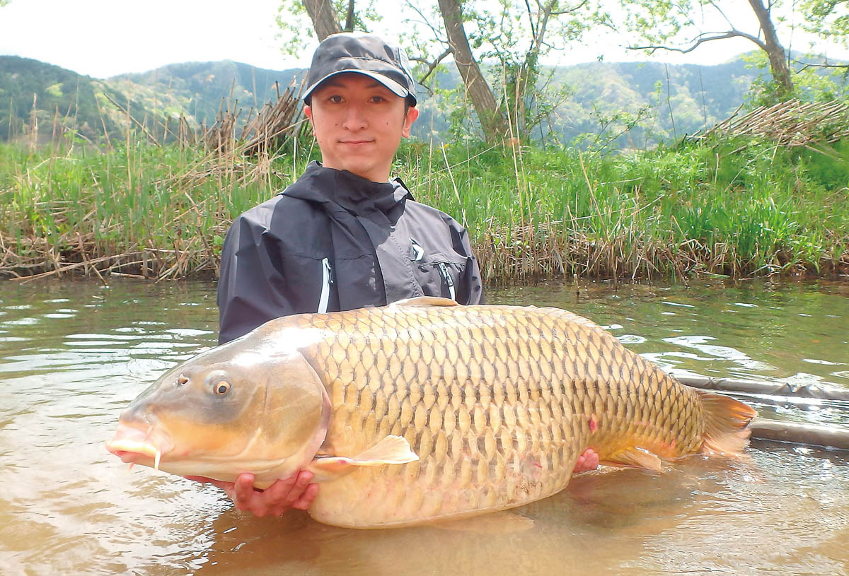 春からの鯉釣り入門 ダンゴとボイリーの釣りを解説！ 後編 | つり人