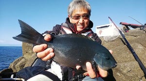 【メジナの釣り方】寄せエサはどこに撒く？図解で分かる堤防ウキフカセ釣り入門