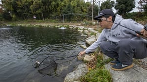 【エリアトラウト】世界2位が教えるクランク使い分け術　5つのレンジ攻略ルアー紹介