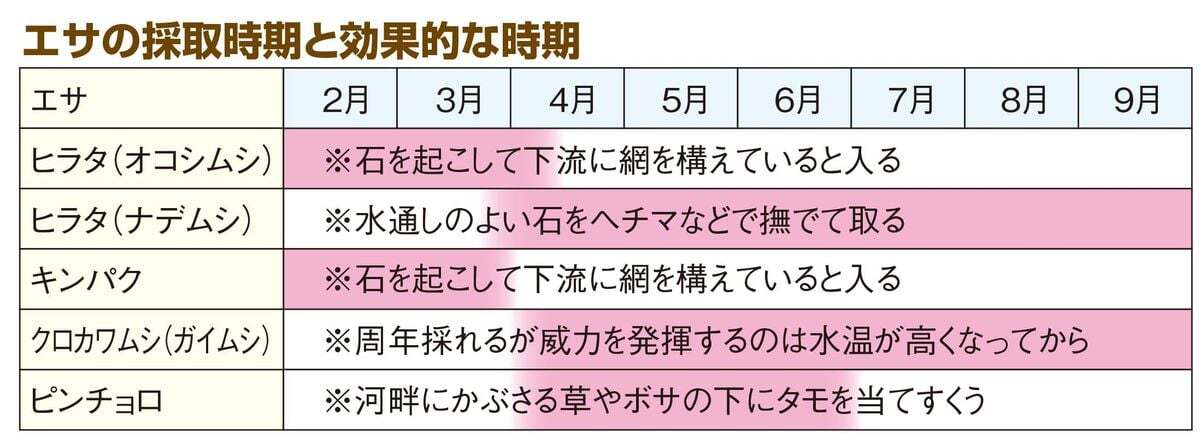 エサの採取時期と効果的な時期