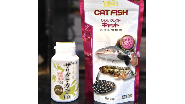 テナガエビ飼育用のエサ
