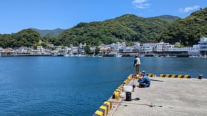 「夏の釣り」何が釣れる？初心者向けおすすめ魚種9選＋持ち物