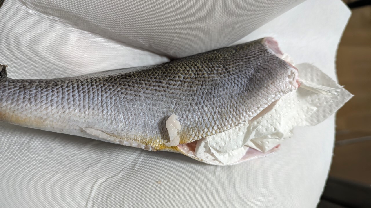 フレッシュマスター