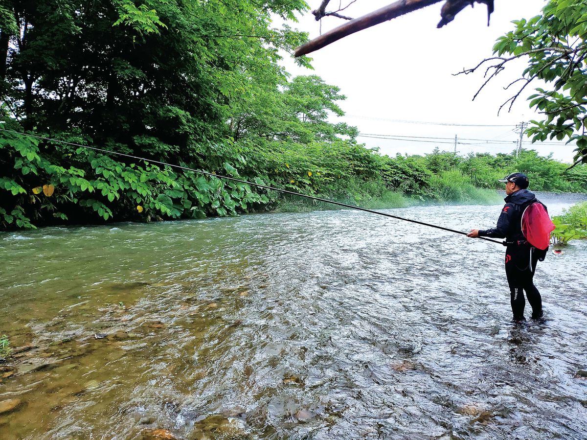 グランプリアユが泳ぐ、ミネラルウォーター釣り場 北海道／黒松内町 朱太川「アユの友釣り」