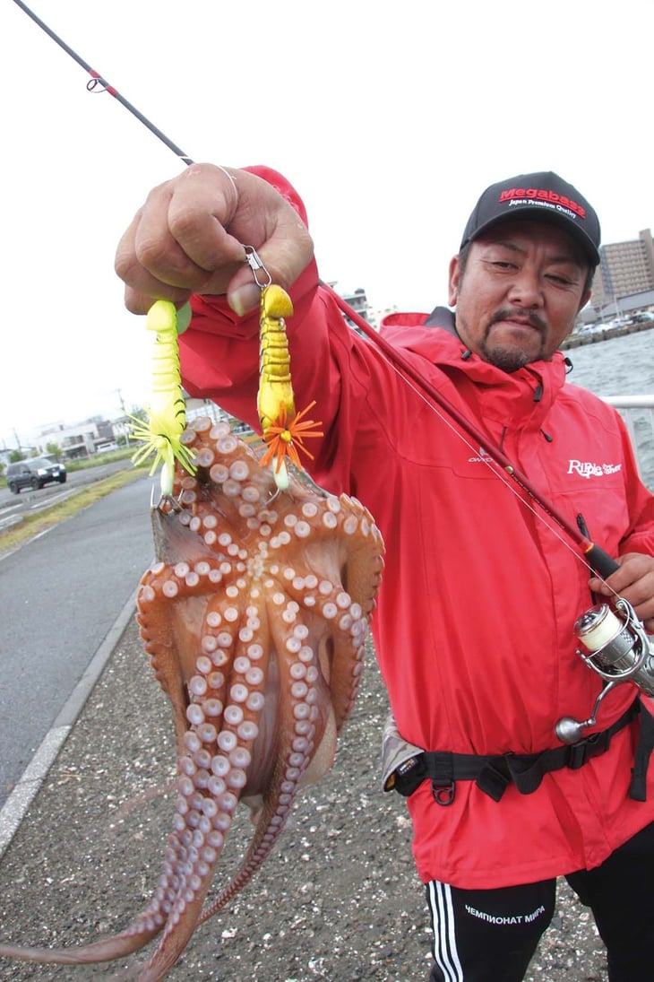 釣ってよし、食べてよしのマダコをねらう 関東・千葉県／木更津市 木更津港・内港公園「タコ餌木のマダコ釣り」熱いぞ！ 軟体系のルアーゲーム |  全国おすすめ釣り場