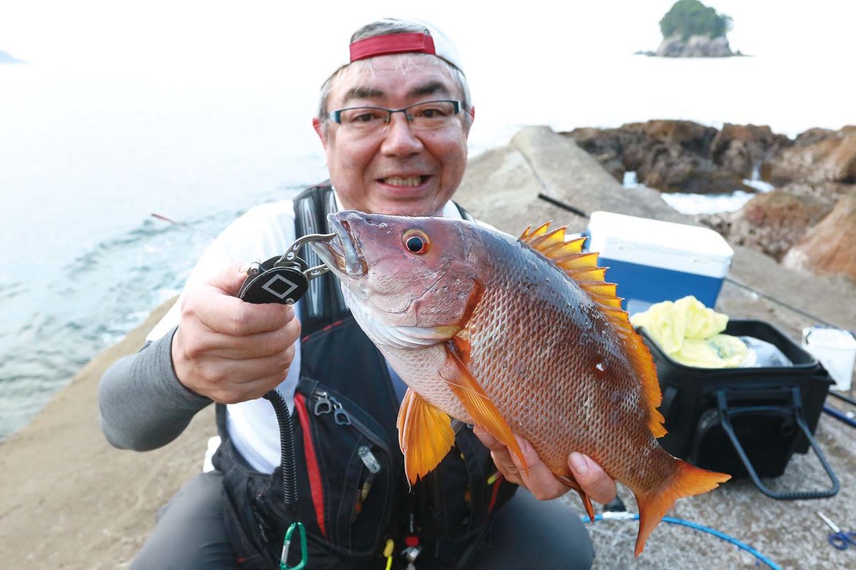 徳島県宍喰 「半夜のフエダイ釣り」 夏磯のお楽しみ！ パワーフカセで