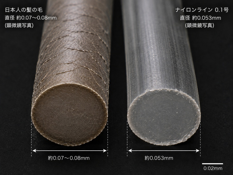 日本人の髪の毛（直径約0.07〜0.08mm）とナイロンライン0.1号（直径約0.053mm）の太さを比較したイメージ図