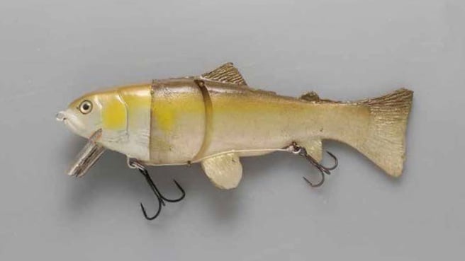 hardhead-trout