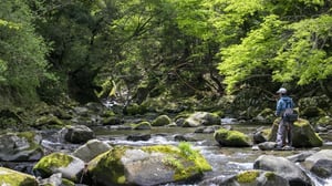 Amazon新生活セールで釣具も値下げ中！編集部が厳選した春の注目アイテム