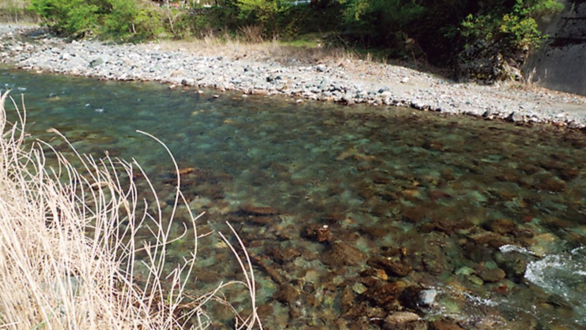 浮き石が連なる平瀬