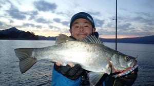 【ヒラスズキの釣り方】荒れた磯だけじゃない！名手が教える4つの釣り場と攻略法