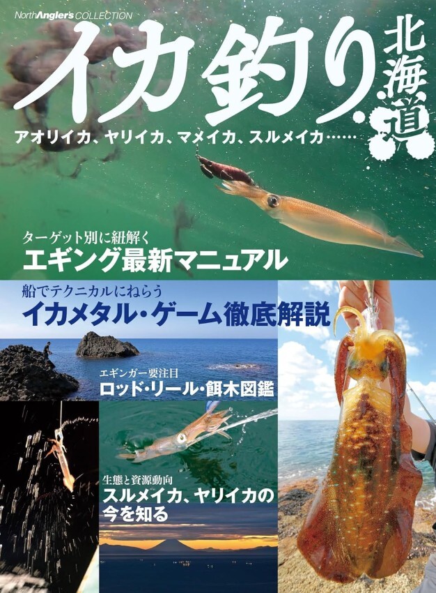 イカ釣り北海道