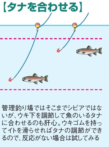 ニジマス釣り