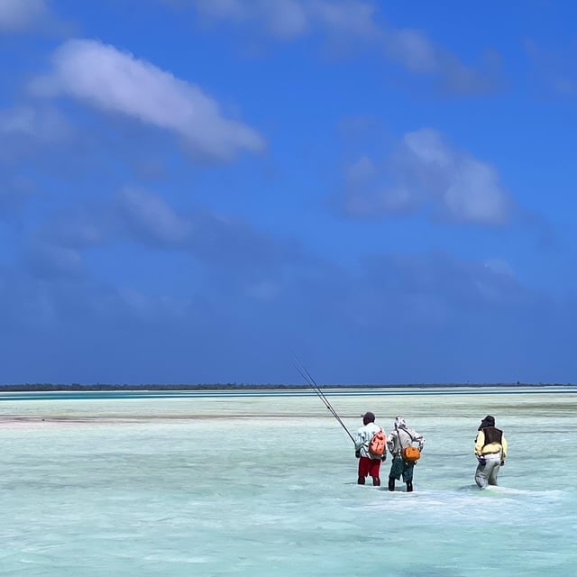 image1-Aug-18-2026-08-20-45-4861-AM