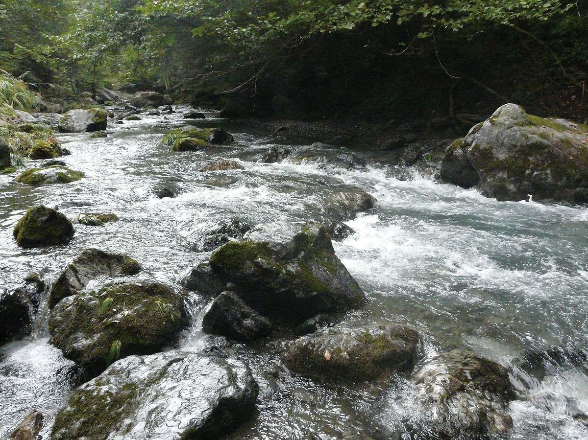 イワナ・ヤマメ釣り 埼玉県・荒川水系 | つり人オンライン