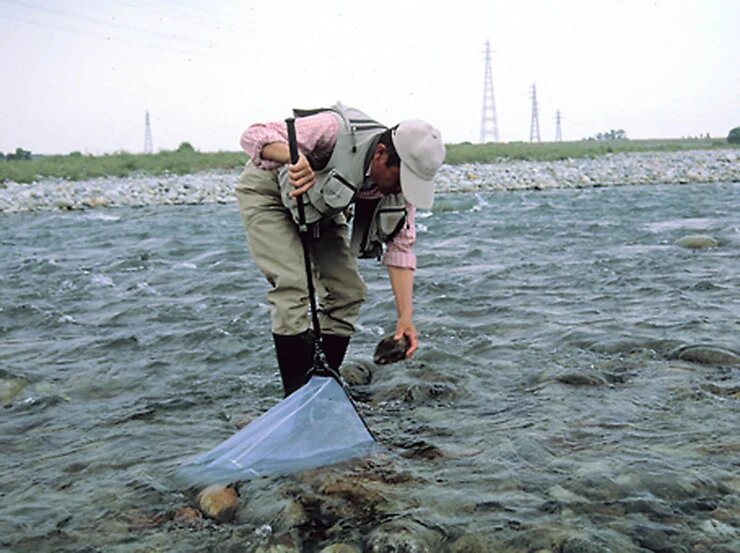 「石起こし」採取