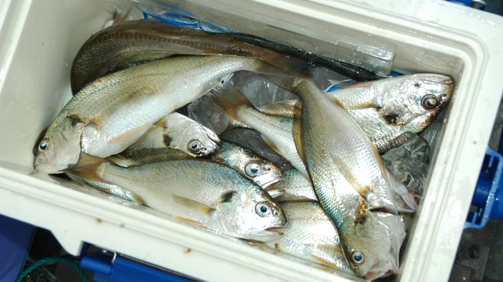 isimochi-1