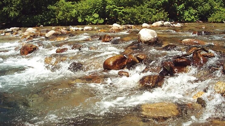 ツルツルした大石