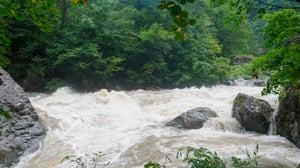 濁流からの脱出！魚影がない違和感……美しき三面川源流域が見せた裏の顔