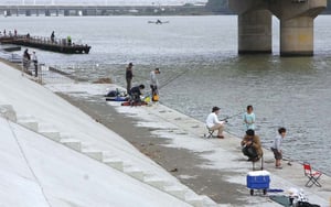 【相模川河口のハゼ釣り】20cm級の良型をチョイ投げで｜釣りポイント・潮周り・駐車場