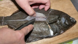 カレイ・ヒラメのさばき方。刺身にする5枚おろしと煮付け用下処理