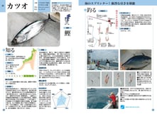 カツオのページ