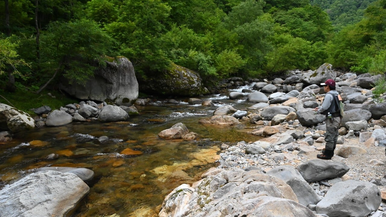 渓流の釣り風景
