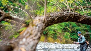 名手が教える渓流ルアー釣り。ミノーの連続トゥイッチから覚えよう
