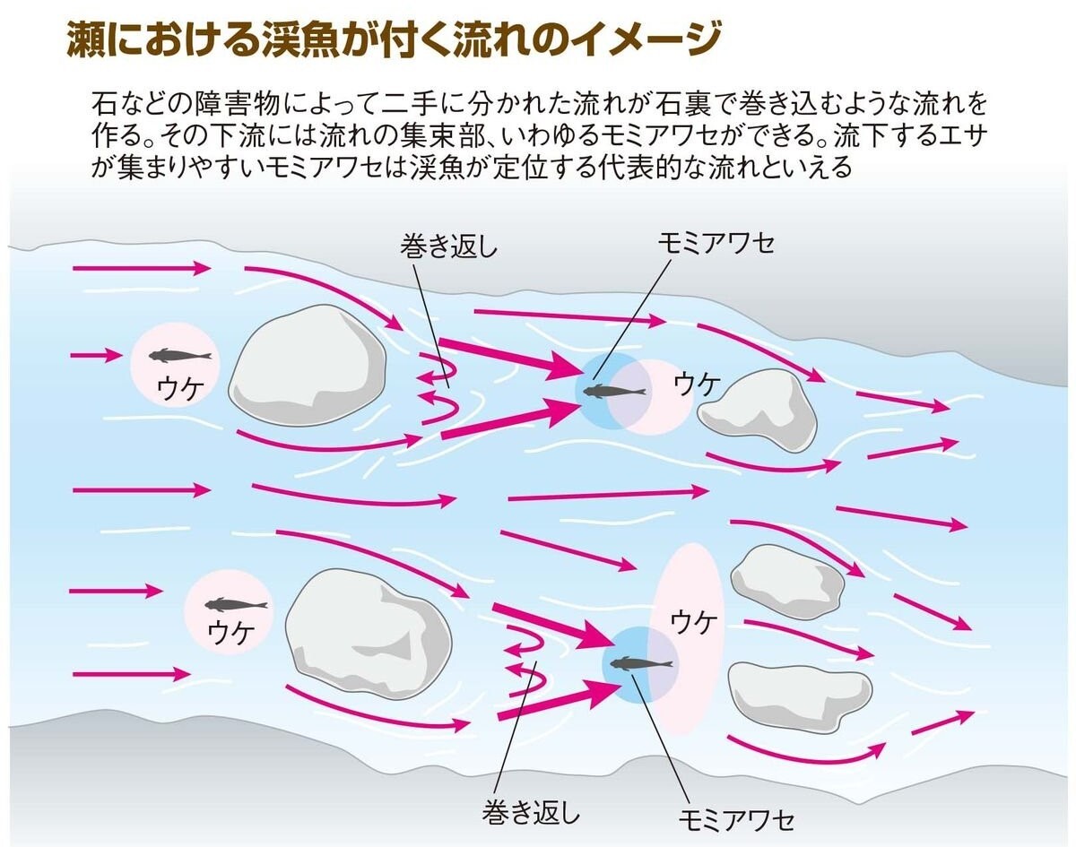 瀬における渓魚が付く流れのイメージ図