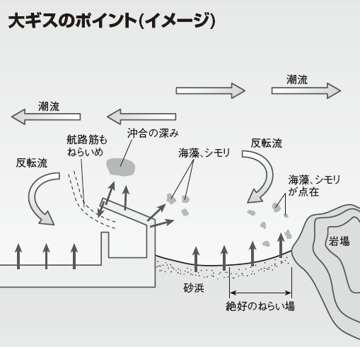 kisupoint