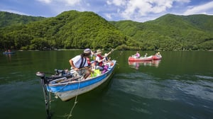ワカサギ釣りはなぜ「冬の風物詩」になった？ 実は夏～秋が初心者におすすめの理由