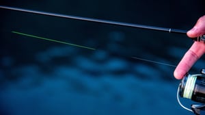 魚にラインは見えている？釣り人が髪の毛より細い糸を使う本当の理由