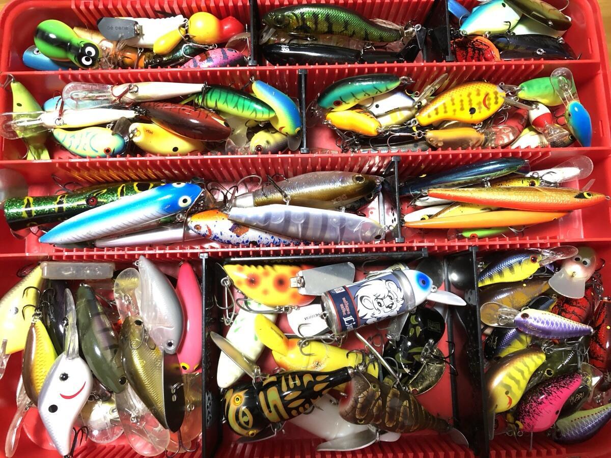 lure-4